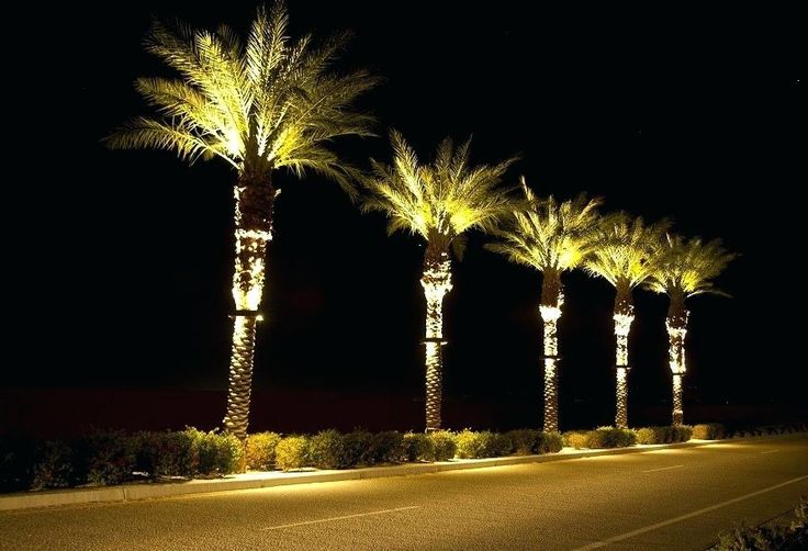 Pin On Lighting Design Pin On Lighting Design, How To Make An Outdoor Lighted Palm Tree