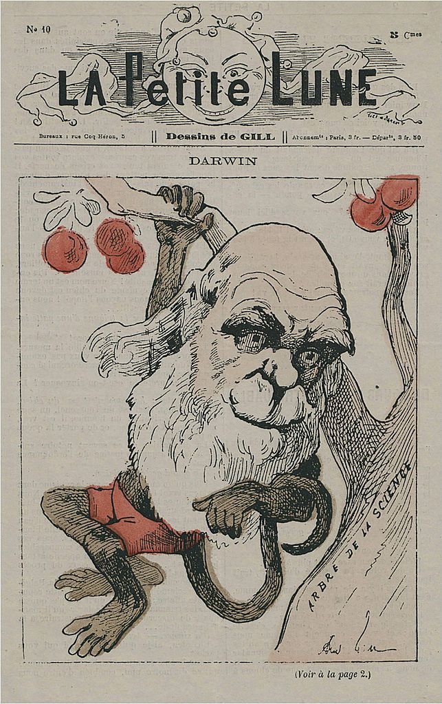 Caricatura de Charles Darwin como um macaco na capa de La Petite Lune (agosto de 1878), uma revista satírica parisiense publicada por André Gill de 1878 a 1879.