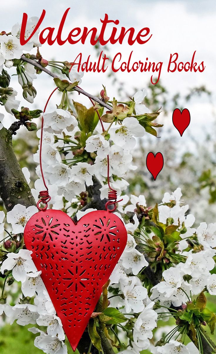 Valentine Adult Coloring Books