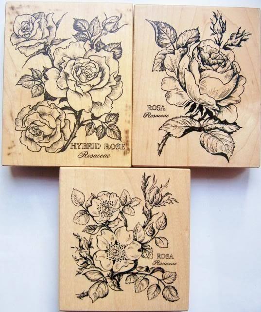 psx botanical rose cabbage hybrid wild rosa rubber stamp k psx botanical rose cabbage hybrid wild rosa rubber stamp k