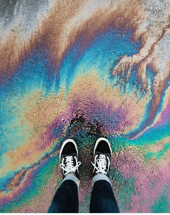 escuche vans escuche vans