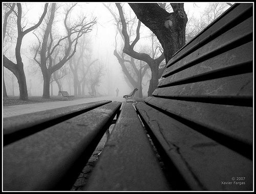 Black and white photography examples Black and white photography examples