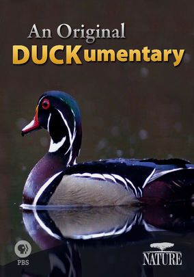 Best Nature Documentaries Ocean Netflix Kids Best Nature Documentaries Ocean Netflix Kids