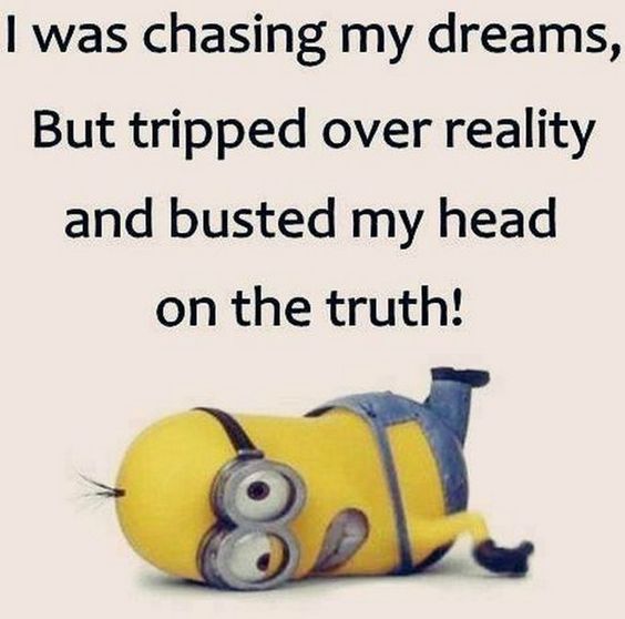funny career quotes