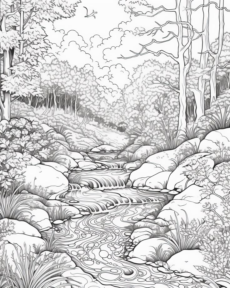 a river flowing through a forest filled with rocks and trees