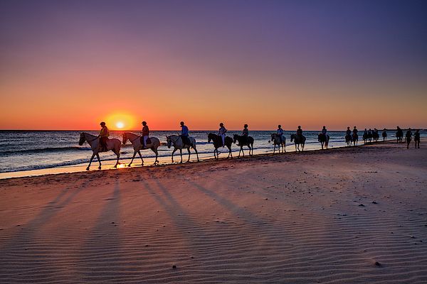 Horse Ride At Sunset Barrosa Beach Riding Horse Ride At Sunset Barrosa Beach