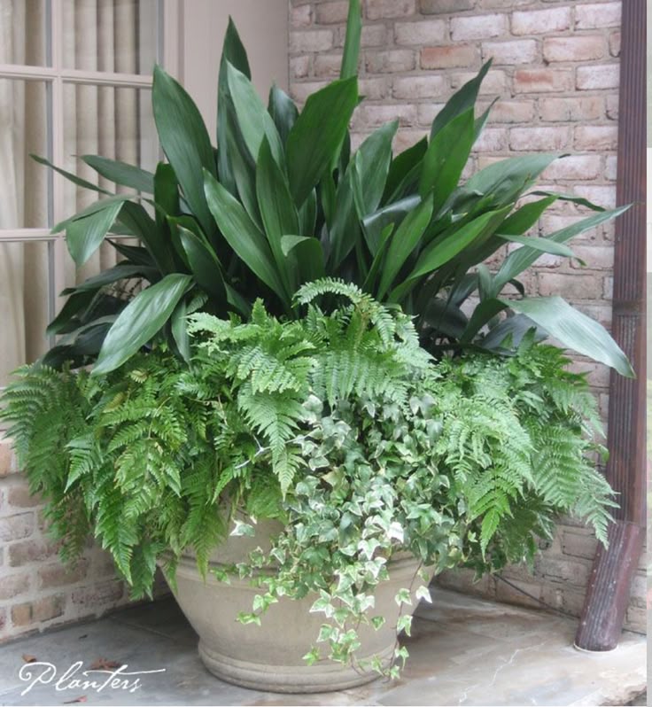 Best 25 pots ideas on Pinterest Ve able Garden Kit