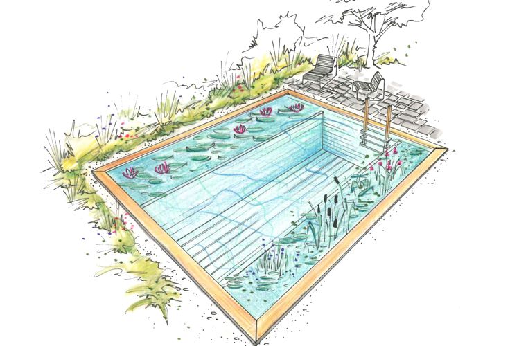 Die Kompaktbecken von Ecopool zeichnen sich dadurch aus, dass mit - reihenhausgarten und pool Die Kompaktbecken von Ecopool zeichnen sich dadurch aus, dass mit - reihenhausgarten und pool