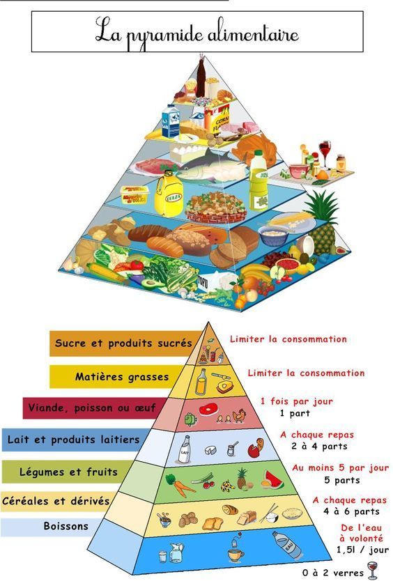 Dossier 16 FICHES sur l’ALIMENTATION, l’équilibre alimentaire, petit déjeu