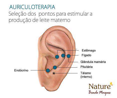 Auriculoterapia para adelgazar testimonios reales