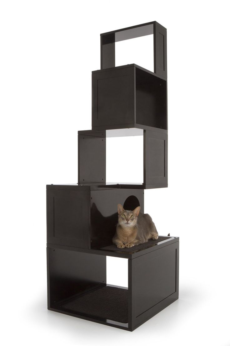 Die Besten Modern Cat Supplies Ideen Auf Pinterest - Amazoncom The Sebastian Modern Cat Tree In Black Modern Cat Tower die besten modern cat supplies ideen auf pinterest - amazoncom the sebastian modern cat tree in black modern cat tower