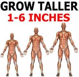 Best Way To Get Taller Naturally Best Way To Get Taller Naturally