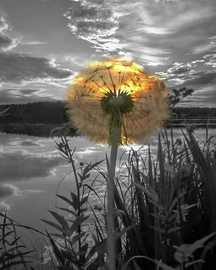 Yellow imagery