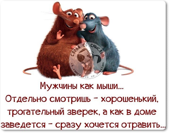 Девочка, приколы про мужиков в картинках с надписями про торопливость