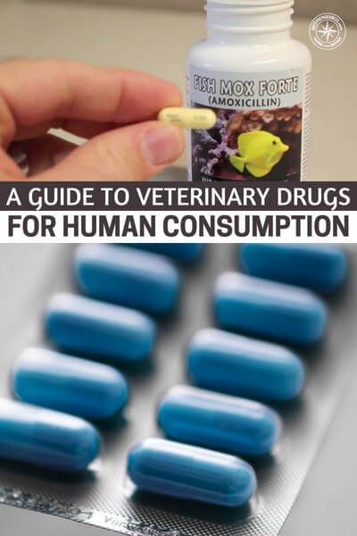 Can You Give Dogs Human Antibiotics Amoxicillin Dog Human Medication Dosage Conversion Chart Thedogplace Org Medical Conversation Dog Remedies