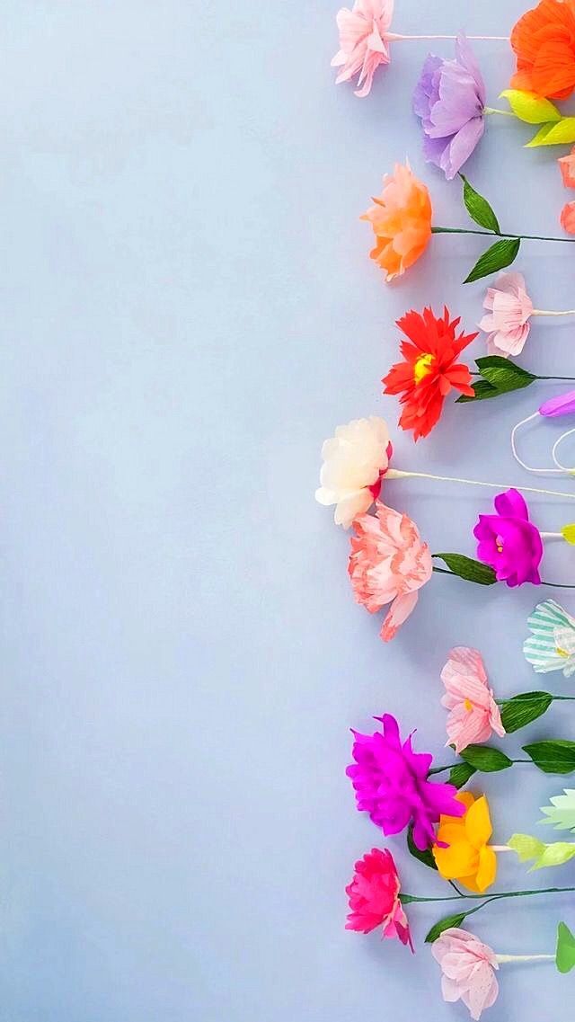 colorful blooms flowers iphone wallpaper wallpaper flower