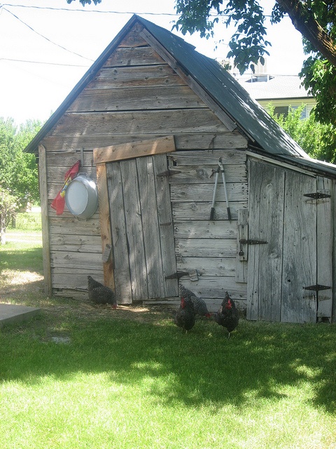 Garden Sheds Galore 697 best garden sheds/ greenhouses/ studios images on pinterest Garden Sheds Galore 697 best garden sheds/ greenhouses/ studios images on pinterest