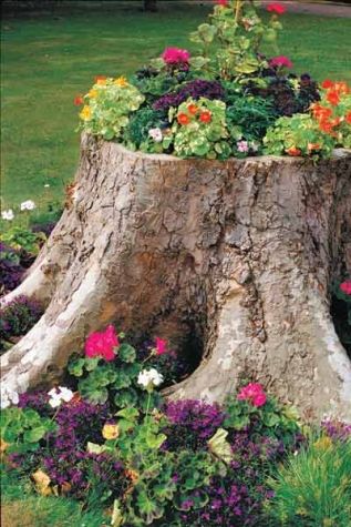 Flower Garden Ideas Around Tree top 25+ best tree stumps ideas on pinterest | tree stump furniture Flower Garden Ideas Around Tree top 25+ best tree stumps ideas on pinterest | tree stump furniture