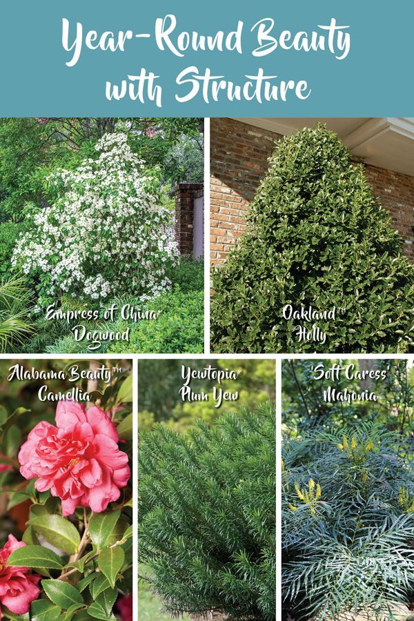 Pin On Landscape Pin On Landscape, How To Plan A Year Round Garden