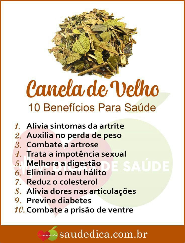 Canela De Velho Diet And Nutrition Ervas Curativas Canela