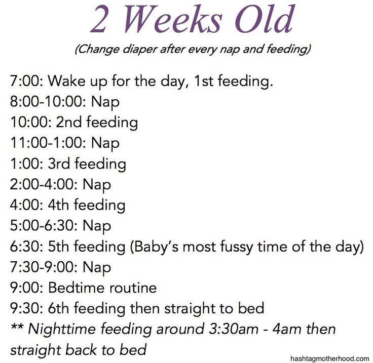 newborn babies feeding schedule