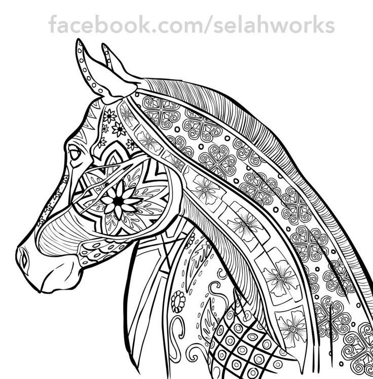 101 best color images on Pinterest Coloring pages, Coloring books - best of welsh pony coloring pages 101 best color images on Pinterest Coloring pages, Coloring books - best of welsh pony coloring pages