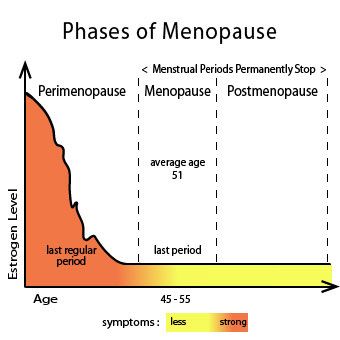 menopause age early peri post symptoms weight gain menstrual cycle phases chart