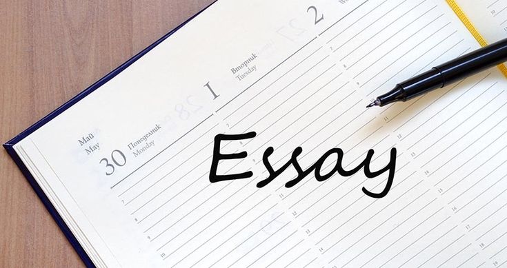 Sixth grade science homework help