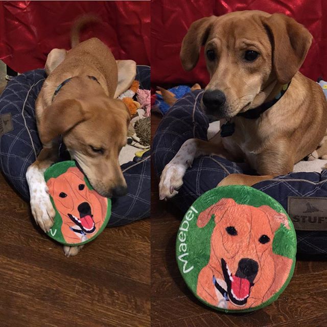 43 best personalized dog frisbees images on pinterest toy, toys 8118f5a44fd2acdac42758a542c741cc frisbee the cutest 43 best personalized dog frisbees images on pinterest toy, toys