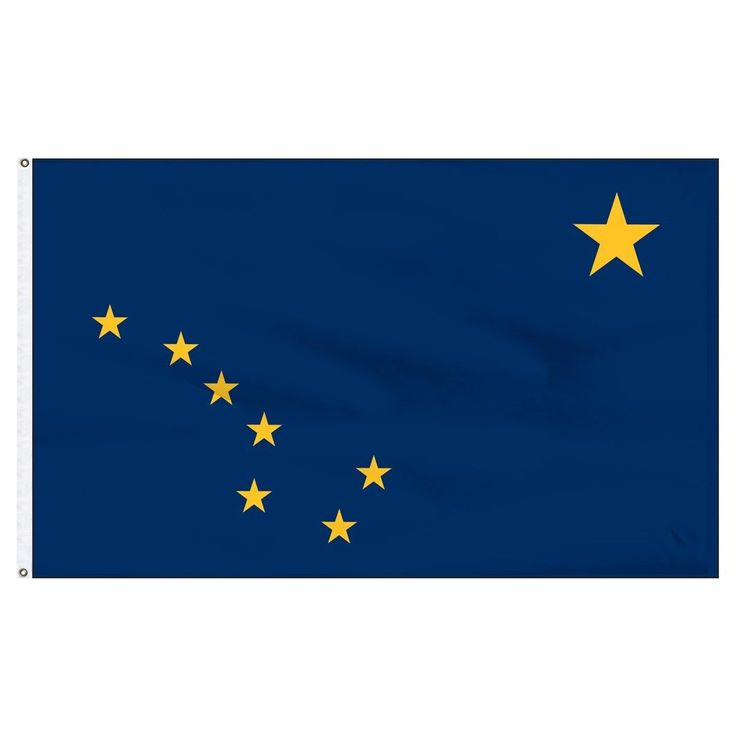 State of New Mexico Flag 3x5 FT 150D House Banner Super Polyester Grommets