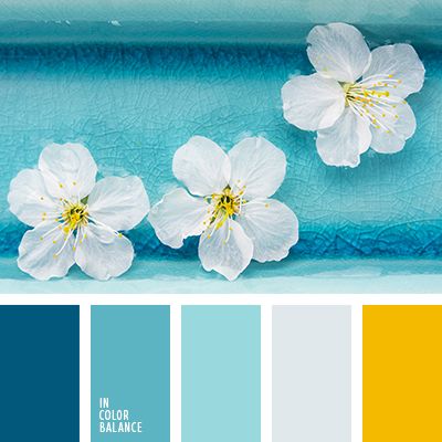 Color Combinations With Blue best 25+ grey color schemes ideas on pinterest | interior paint Color Combinations With Blue best 25+ grey color schemes ideas on pinterest | interior paint