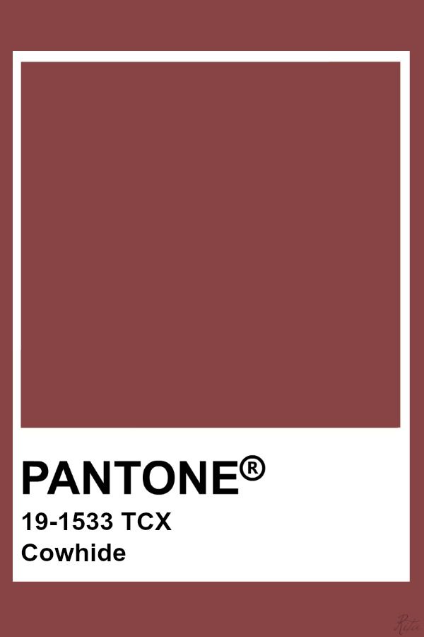 Pin By Color Wheel On Brown Red Brick Russet Dahlia Pin By Color Wheel On Brown Red Brick Russet Dahlia Auburn Baked Clay Pear Ed Le Rio Barn Reds Burnt And