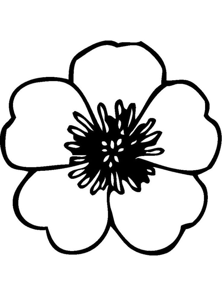 Flowers Coloring Pages For Baby. Below is a collection of Beautiful