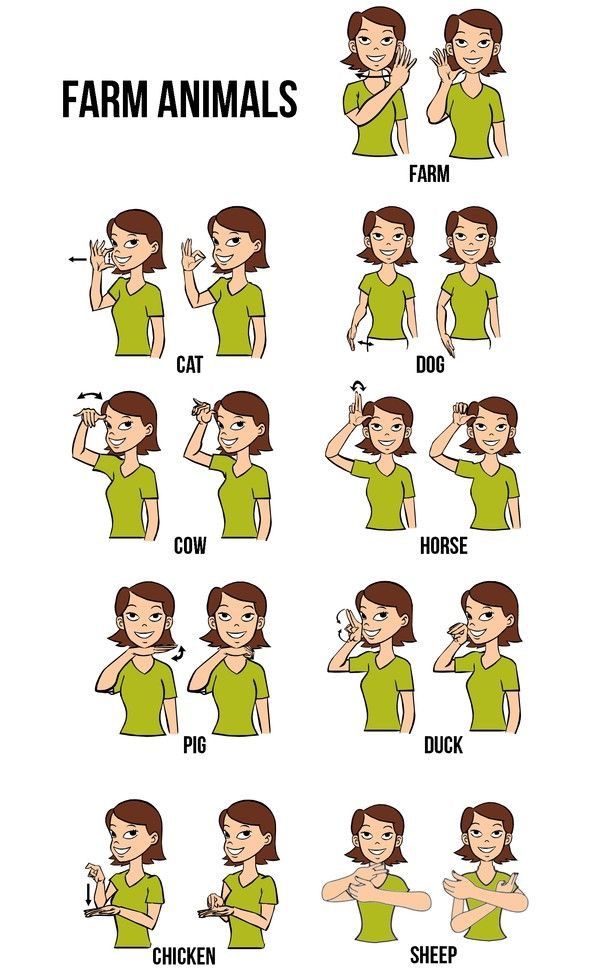 Fabulous image inside sign language animals printable Impertinent image regarding sign language animals printable