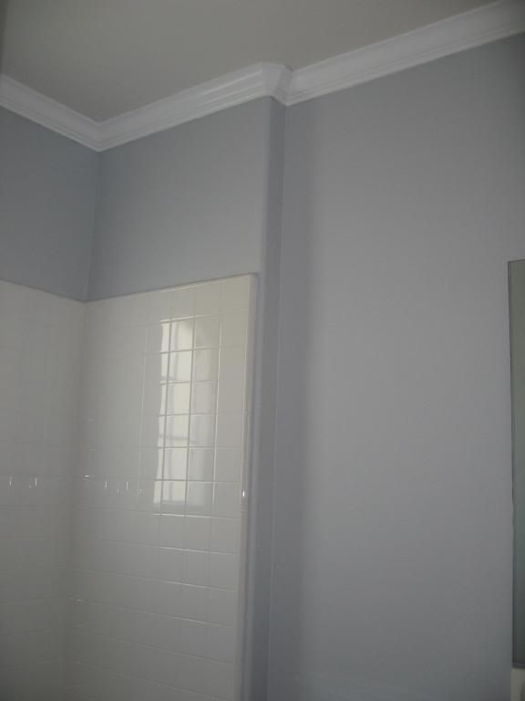 Dunn Edwards Grey Paint Colors - 11 Best Gray Walls Sofa Images On Homes dunn edwards grey paint colors 11 best gray walls sofa images on homes