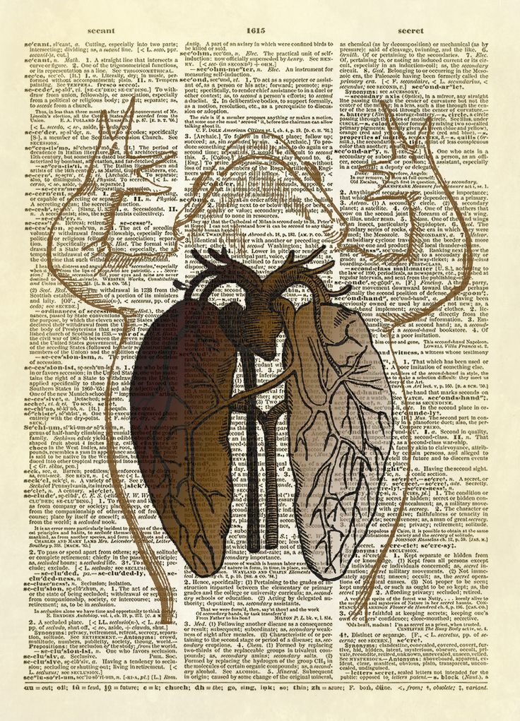 Physiology Heart Art And Craft Physiology Heart Art And Craft