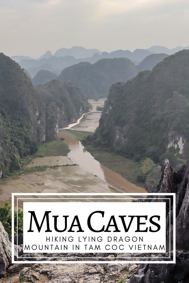 Mua Caves and Hiking Lying Dragon Mountain in Tam Coc Vietnam in 2020 | Vietnam, Vietnam travel, Best vacations