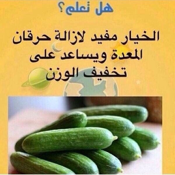اغرب معلومات عامة و هل تعلم 2015 General Knowledge معلومات عامة متنوعة 2014 Did You Know لمعلوماتك Words Quotes Happy Life Quotes True Words
