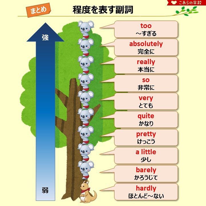 Pin Pa コアラの学校 Pin Pa コアラの学校
