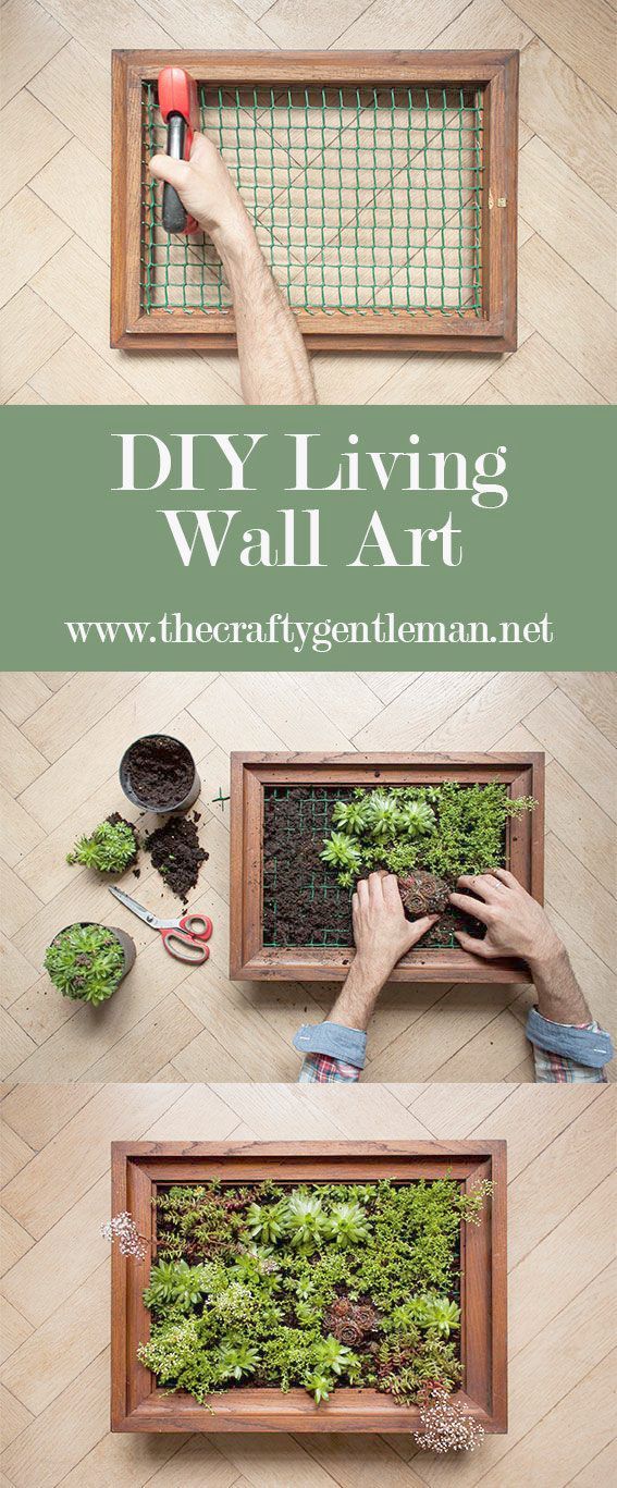 Garden Landscaping Saleprice 15 In 2020 Wall Garden Indoor