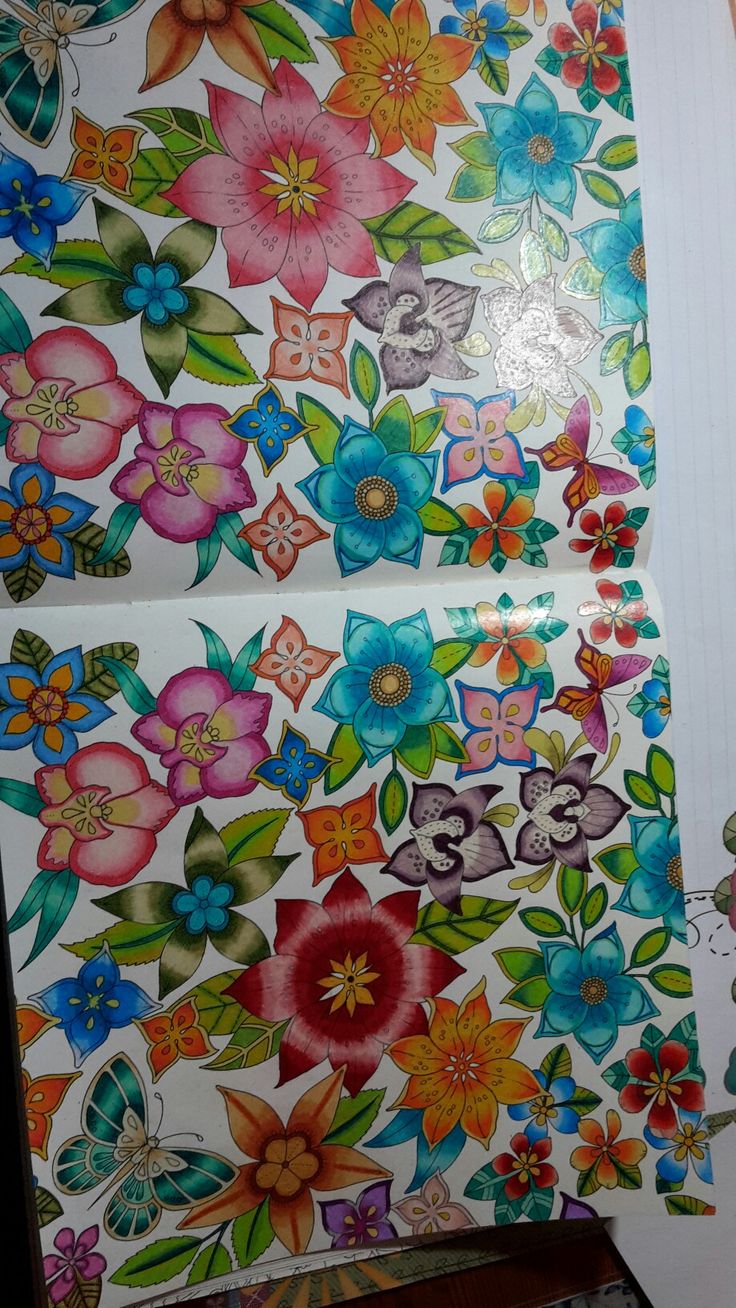 Doodle Coloring Adult Books Colouring Pencil Art Color Combos Schemes Johanna Basford Secret Garden Colored Pencils