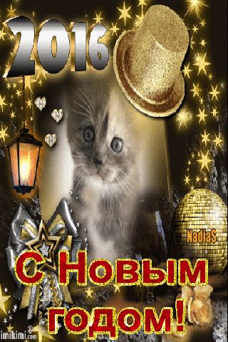 Живая открытка к новому году Живая открытка к новому году