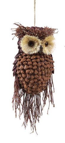 the chew templates pine cones animals best 25 owl ornament ideas on pinterest pinecone owls the chew templates pine cones animals best 25 owl ornament ideas on pinterest pinecone owls