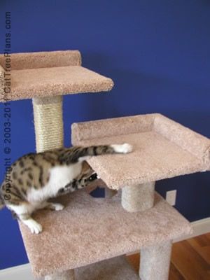 build cat climbing tower plans tall cat tree plans to make your own cat tree simple easy diy instructions on how build tree and furniture scratching posu2026 build cat climbing tower plans tall cat tree plans to make your own cat tree simple easy diy instructions on how build tree and furniture scratching posu2026