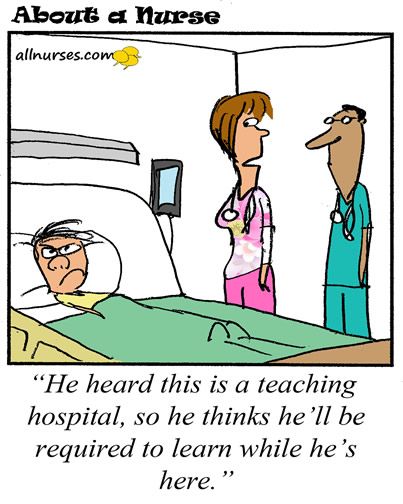 Intensive Care Unit Bed Moving Dog Intensive Care Unit Bed Moving Dog