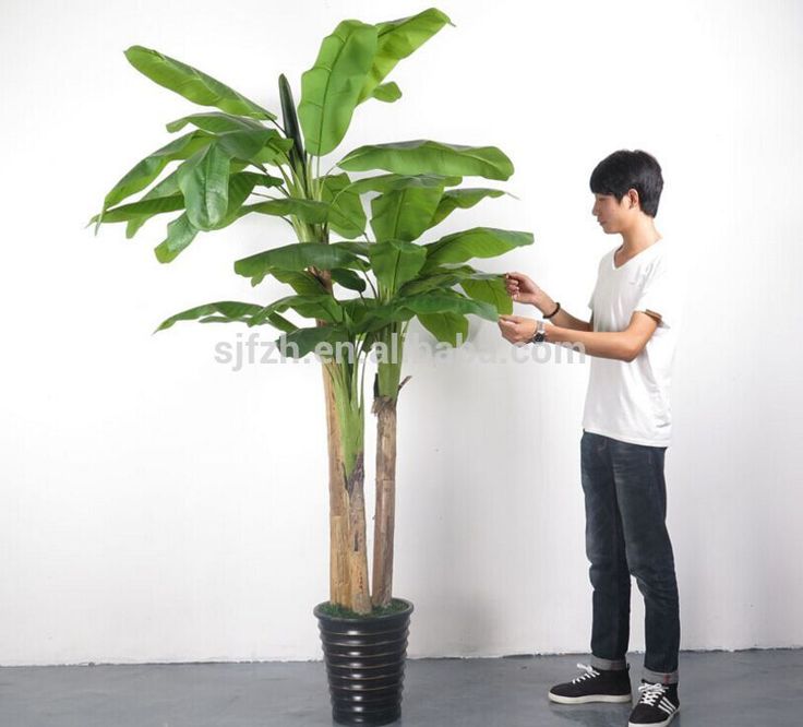 9 best Artificial Plants images on Pinterest Artificial plants - u-küchen mit theke 9 best Artificial Plants images on Pinterest Artificial plants - u-küchen mit theke