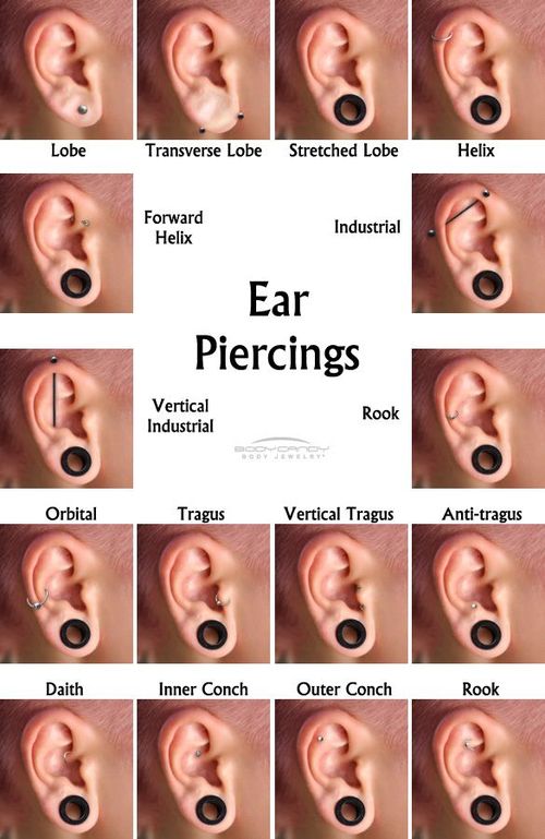 i want stretched lobe which i will do in the next week probably, industrial, tra...
