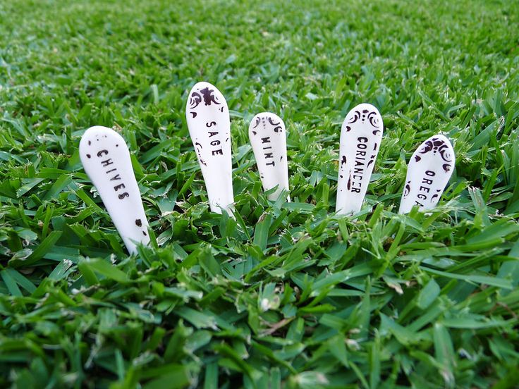 Diy herb garden labels
