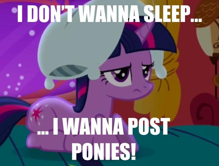 134 best mlp memes images on pinterest mlp memes, my little pony 825a7c7f4527af780400c7e7ea47e0f5 funny twilight mlp memes 134 best mlp memes images on pinterest mlp memes, my little pony,My Little Pony Memes