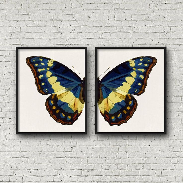 christmas gift butterfly painting butterfly wall motif butterfly print blue butterfly artwork Blue triangle butterfly print